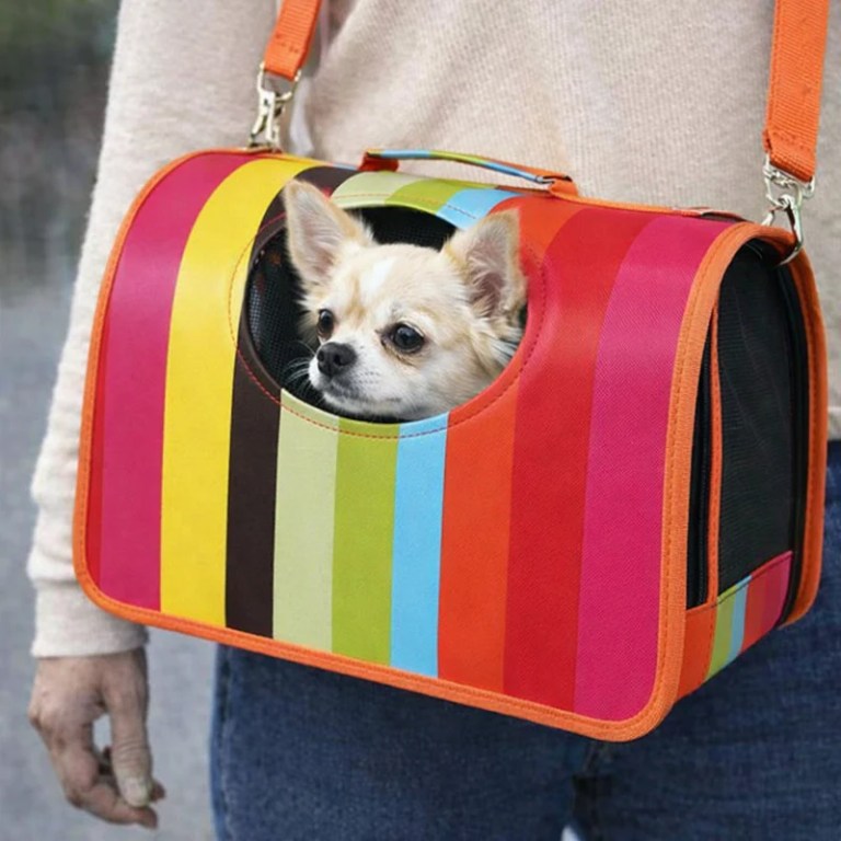 image 1 Chihuahua in rainbow-striped pet carrier bag