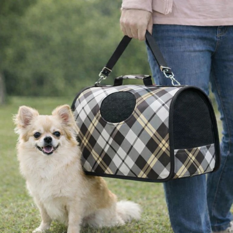 Small fluffy dog beside plaid pet carrier