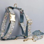 Floral dog harness and matching leash set