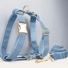 image 1 Light blue denim dog harness and leash set