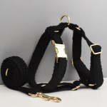 image 1 Black lace dog harness and leash set