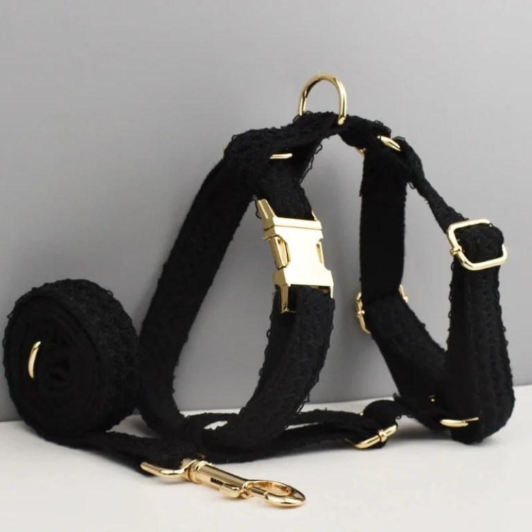 image 1 Black lace dog harness and leash set
