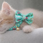 image 1 Cat wearing green floral bow tie collar