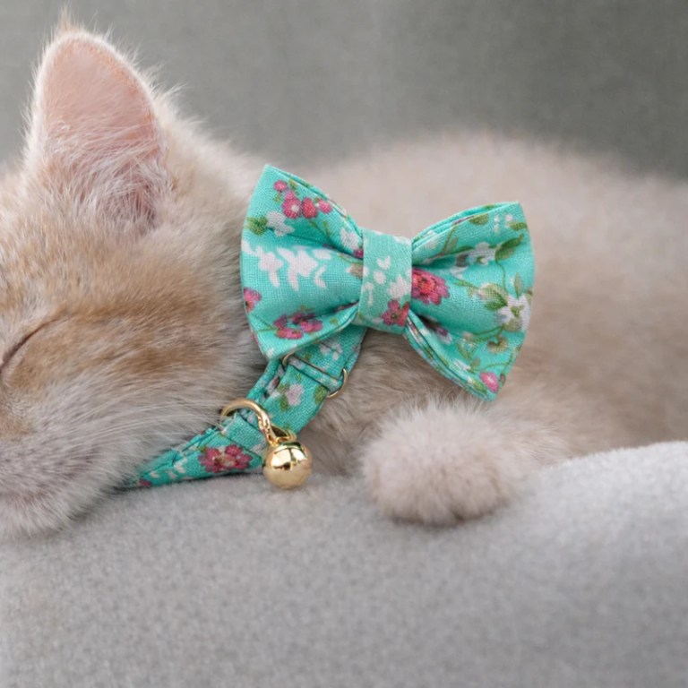 image 1 Cat wearing green floral bow tie collar