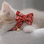 image 1 Cat wearing red floral bow tie collar