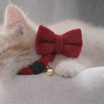Cream cat wearing red bow tie collar