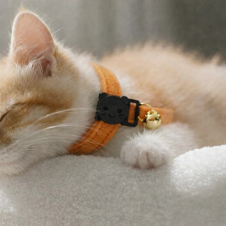 image 2 Sleeping ginger kitten wearing orange collar with bell