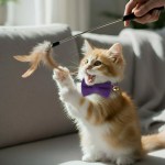 Ginger kitten with bow tie playing with feather toy