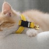 Sleeping ginger kitten with yellow collar and bell