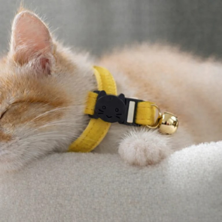 image 2 Sleeping ginger kitten with yellow collar and bell