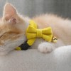 Sleeping ginger kitten wearing yellow bow collar