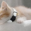 image 2 Sleeping ginger kitten wearing white collar with bell