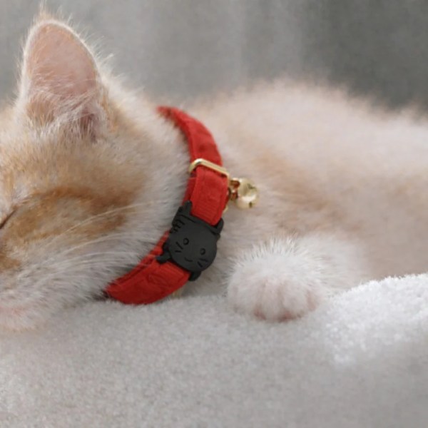 image 2 Sleeping kitten wearing red collar with bell