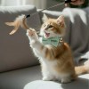 image 2 Ginger kitten with bow tie playing with feather toy