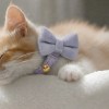 image 2 Sleeping kitten wearing lavender bow collar with bell