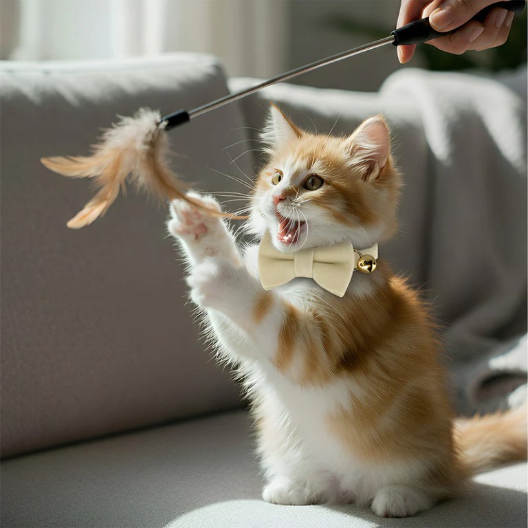 image 2 Ginger kitten playing with feather toy indoors