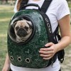 image 2 Pug inside green backpack pet carrier outdoors