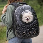 Small white dog in bubble backpack carrier