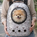 Small dog in bubble window pet backpack
