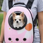 image 2 Chihuahua in pink pet backpack with bubble window