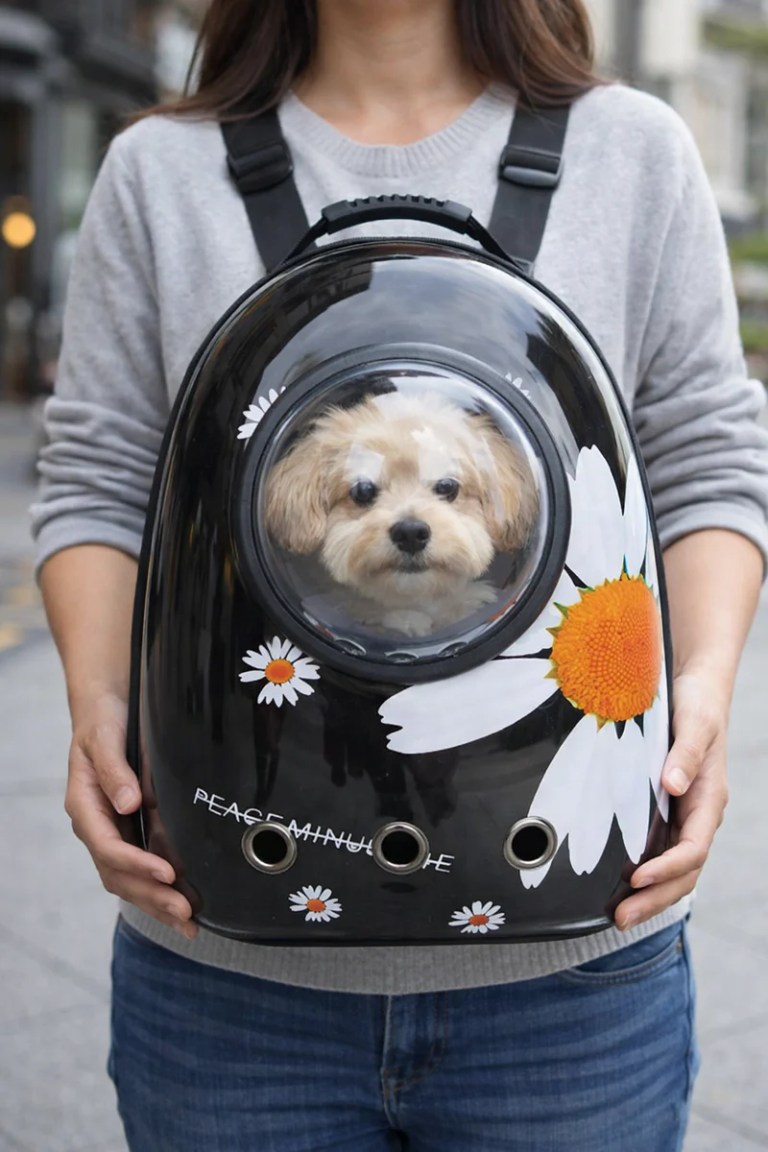 Small dog in bubble-front pet backpack carrier