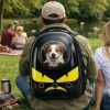 image 2 Dog in bubble backpack at park picnic