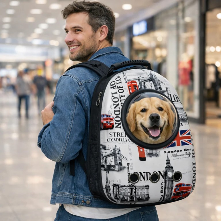 Man carrying dog in London-themed backpack