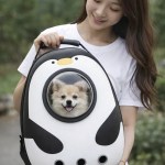 image 2 Woman holding penguin pet carrier with small dog
