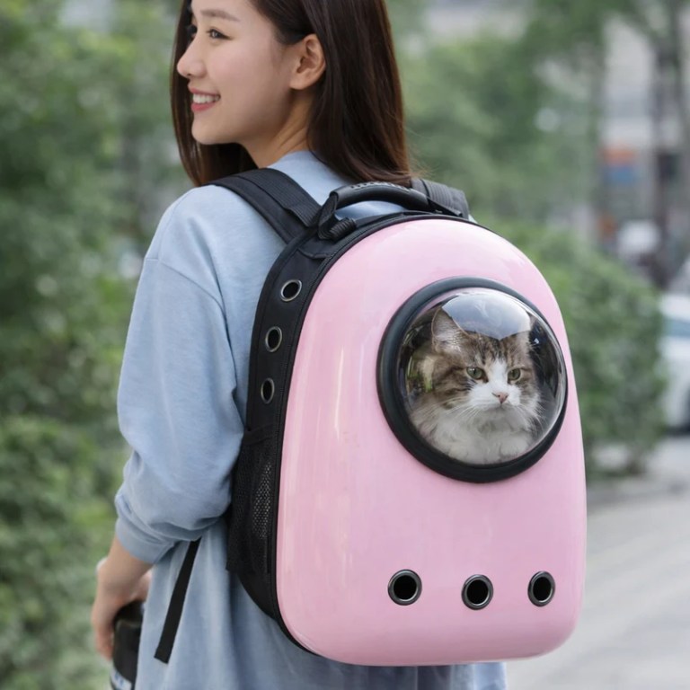 Woman carrying cat in pink bubble backpack