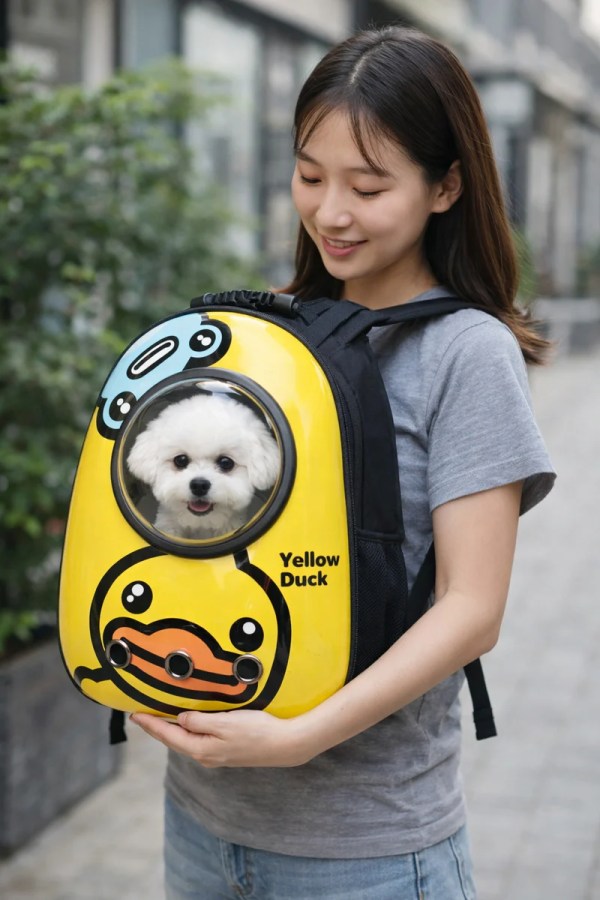 image 2 Woman holding yellow duck pet backpack with dog