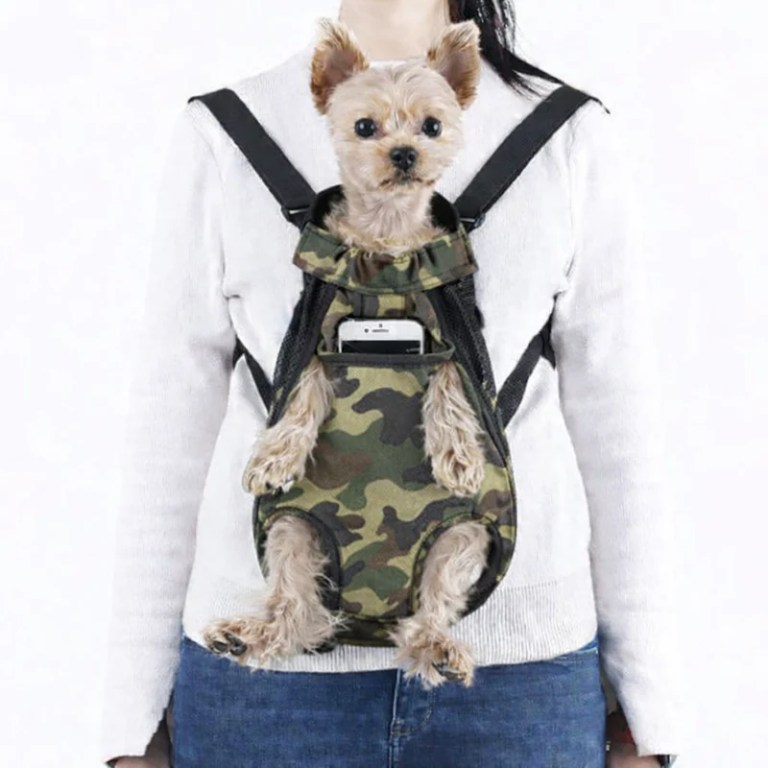 Small dog in camouflage front pet carrier