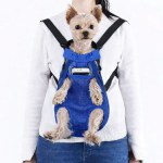 Small dog in blue front pet carrier