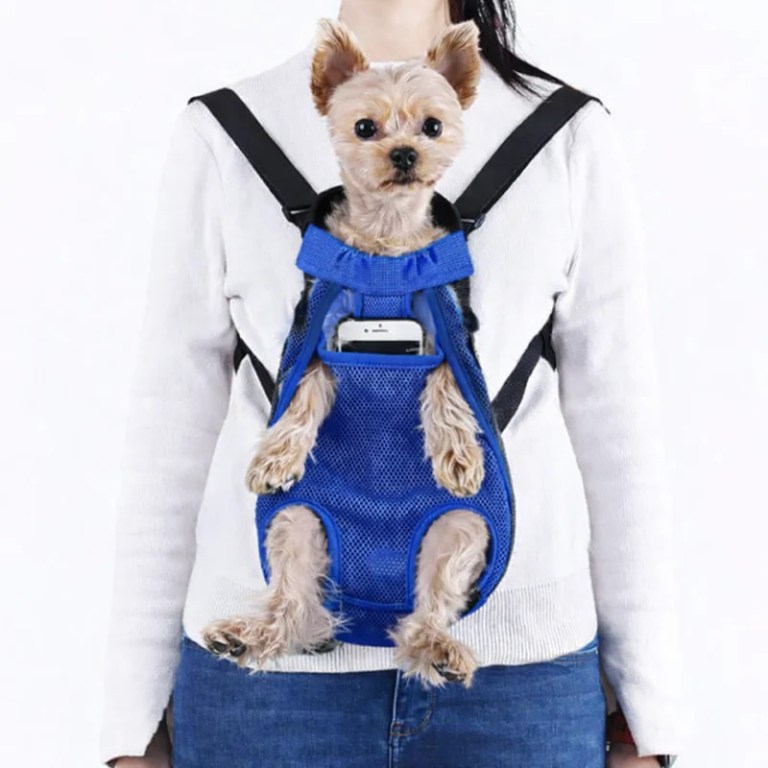 Small dog in blue front pet carrier