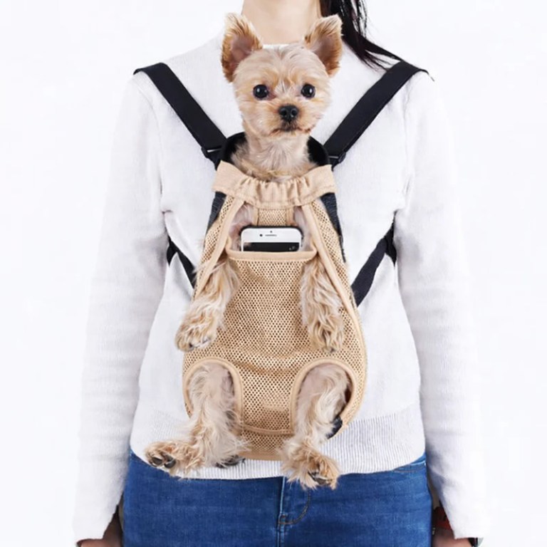 Small dog in beige front pet carrier