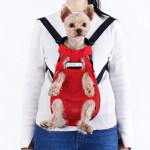 Small dog in red front pet carrier