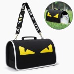 image 2 Black cat carrier with yellow eyes design