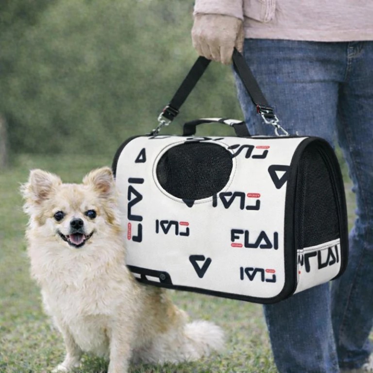 image 2 Small fluffy dog beside portable pet carrier bag