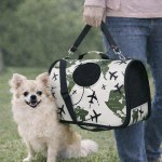 image 2 Small fluffy dog beside airplane-print pet carrier
