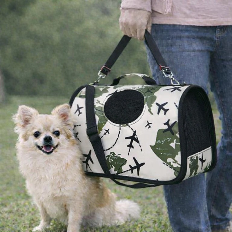 image 2 Small fluffy dog beside airplane-print pet carrier