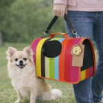 image 2 Small fluffy dog beside colourful striped pet carrier