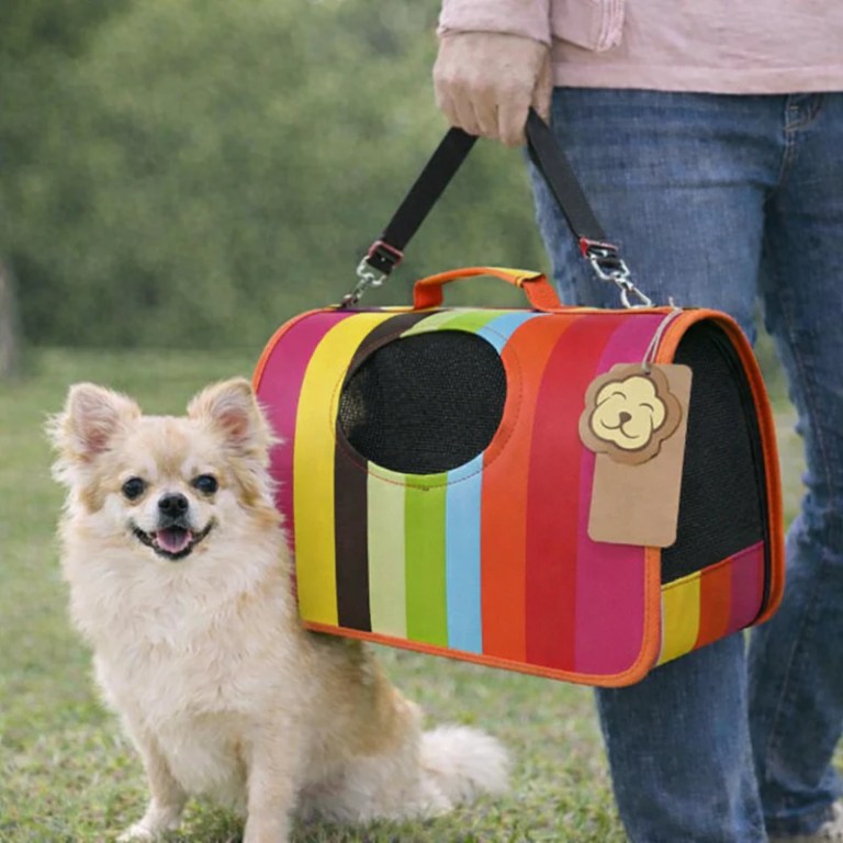 image 2 Small fluffy dog beside colourful striped pet carrier