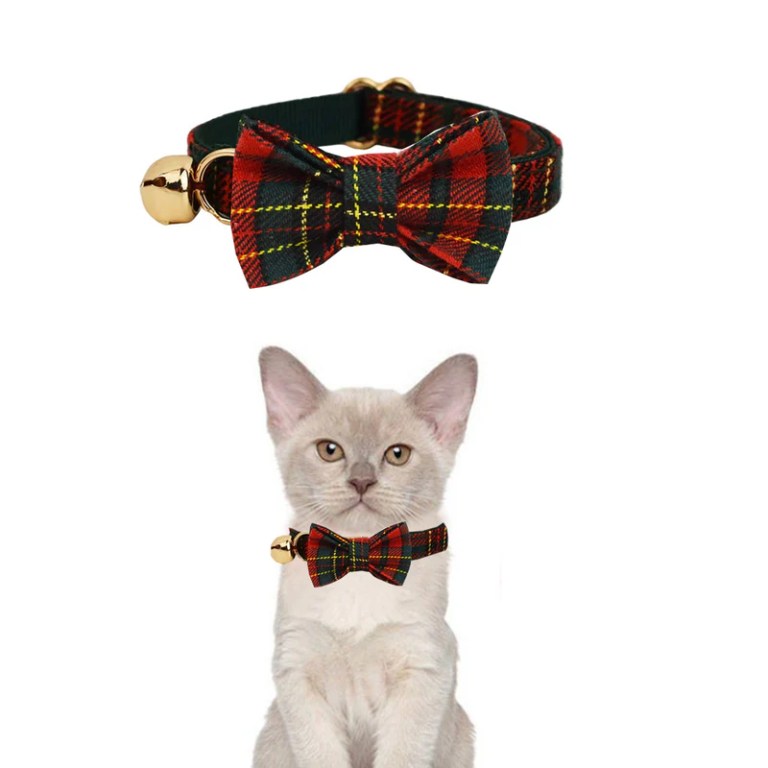 image 2 Cat wearing red tartan bow tie collar