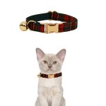 Red tartan cat collar with gold bell