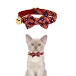 Cat wearing patriotic bow tie collar with bell