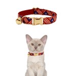 Cat wearing red star-patterned collar with bell
