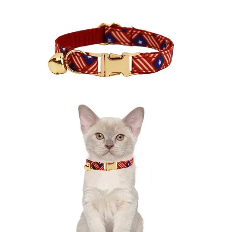 Cat wearing red star-patterned collar with bell