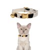 Black and white cat collar with gold bell
