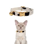 Black and white cat collar with gold bell