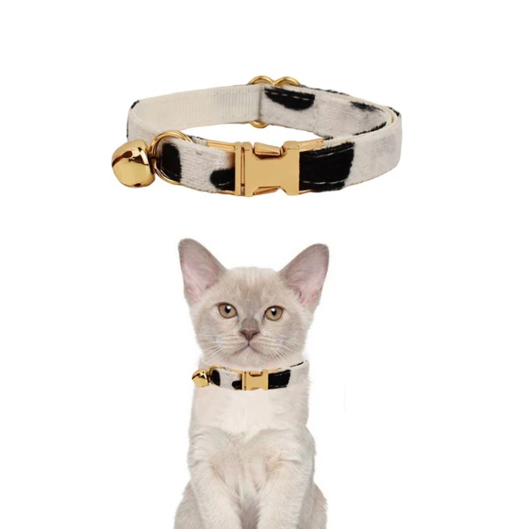 Black and white cat collar with gold bell