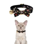image 2 Cream cat wearing black floral bow collar